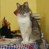 Отзыв от Ангелина Сухова